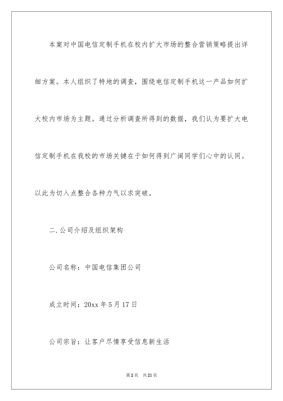 2024促销方案_39_第2页