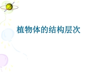《生物植物体的结构层次》课件
