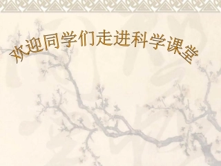 认识几种常见的岩石