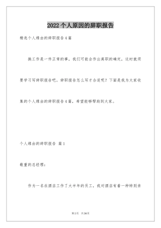 2024个人原因的辞职报告_93