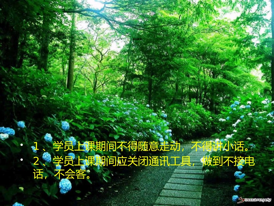 湖滨学校周拓PPT课件_第3页