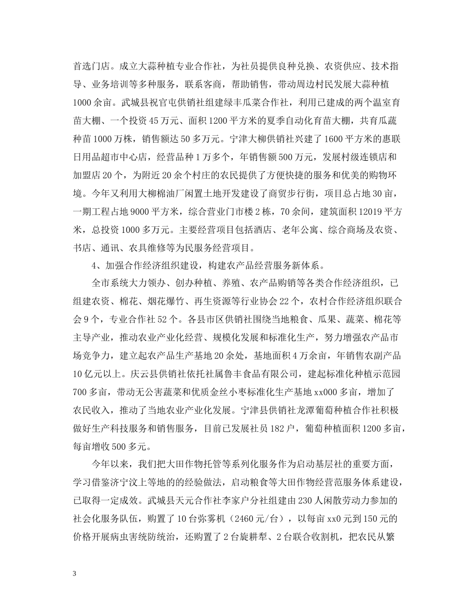 基层供销社的年终总结_第3页