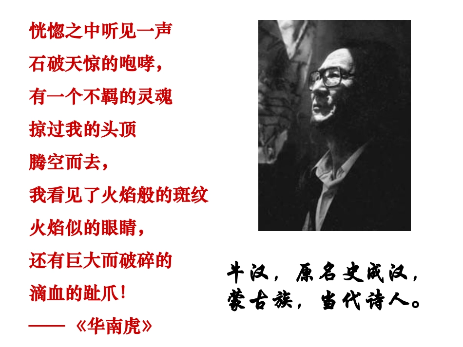 我的第一本书 (2)_第1页