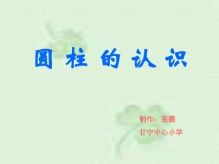 第二课时圆柱的认识练习课