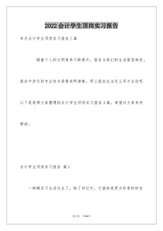 2024会计学生顶岗实习报告_2