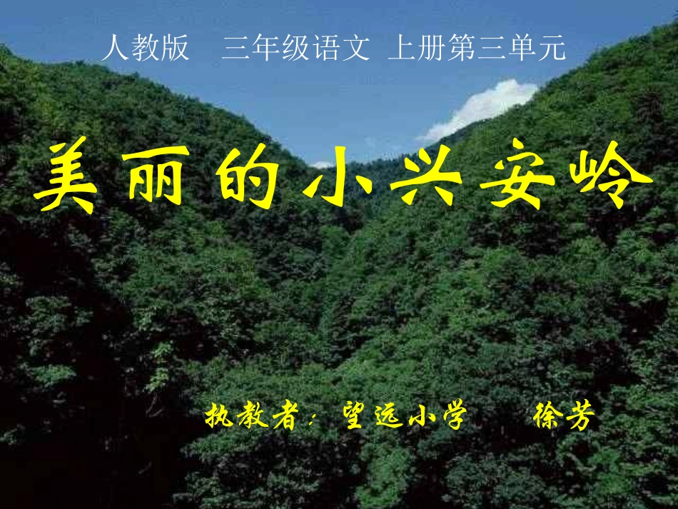 《美丽的小兴安岭》_第1页