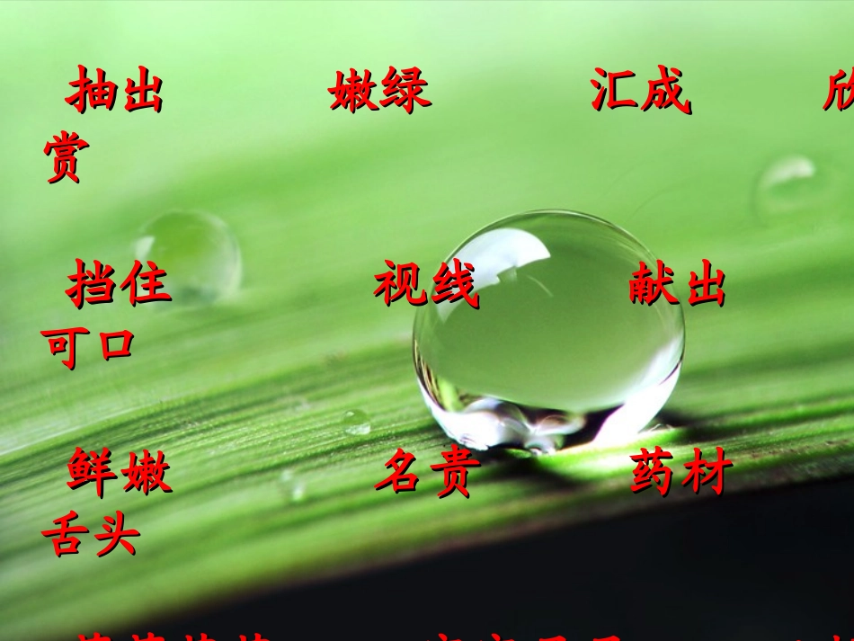 《美丽的小兴安岭》_第2页