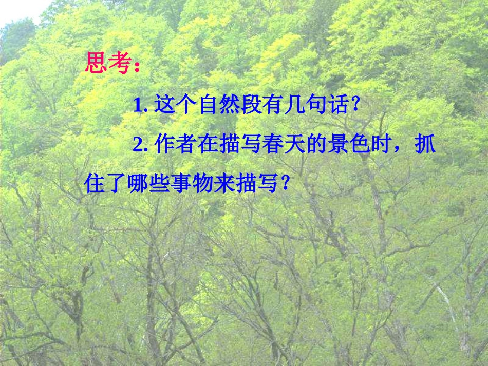 《美丽的小兴安岭》_第3页