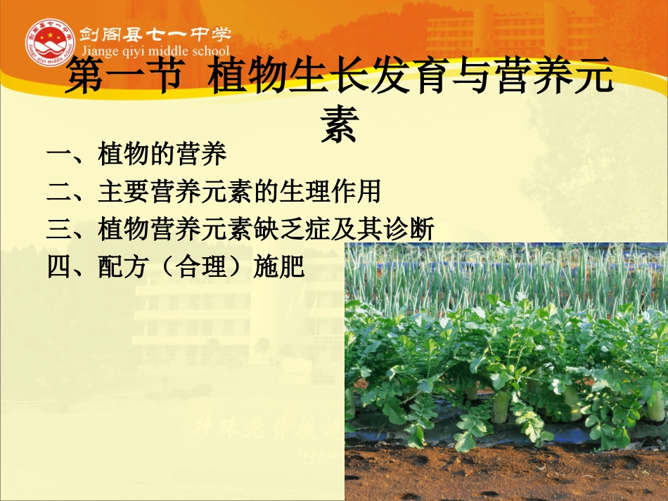 -第一节植物生长发育与营养元素_第3页