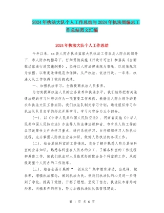 2024年执法大队个人工作总结与2024年执法局编志工作总结范文汇编