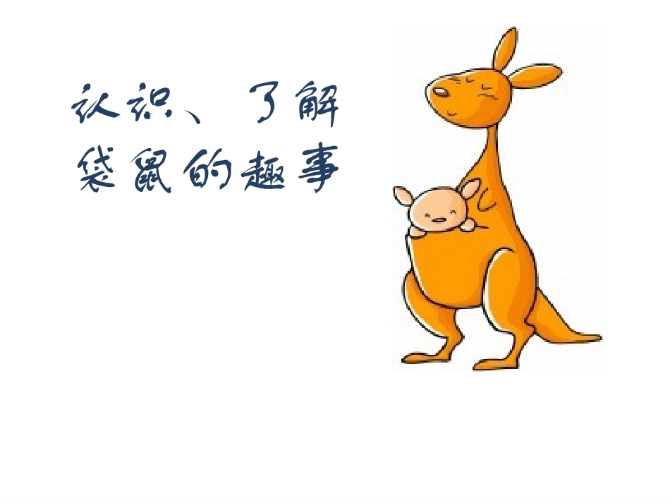 《袋鼠妈妈的口袋》_第3页