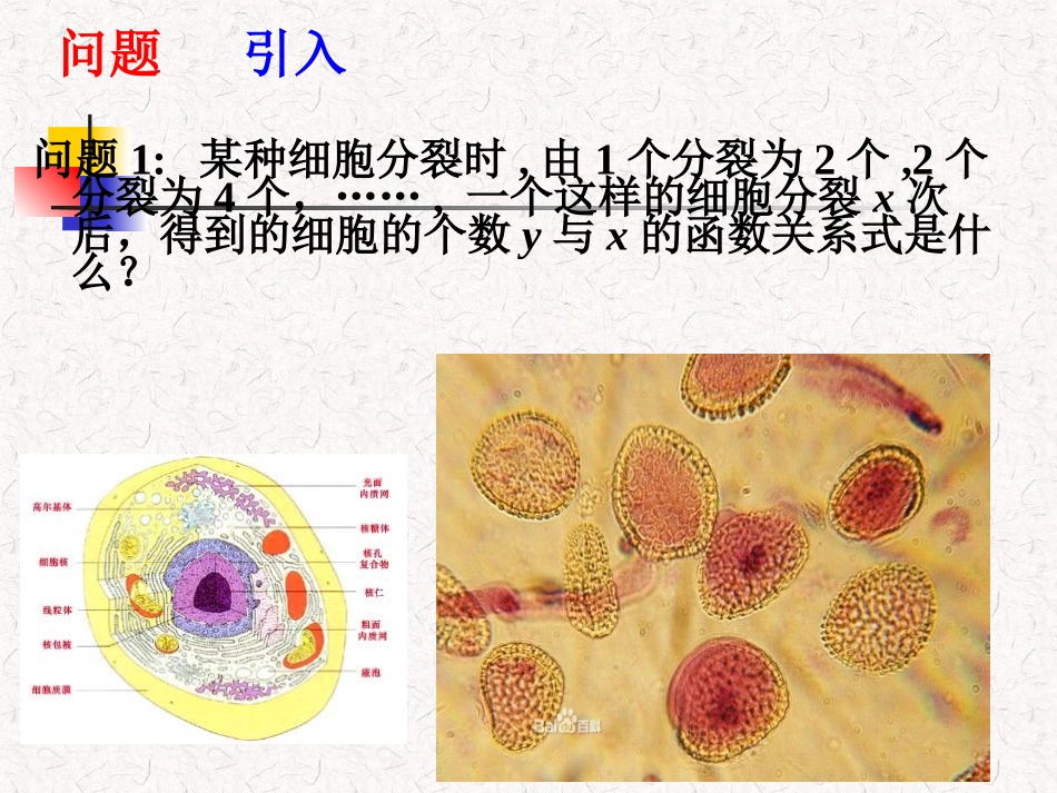 指数函数及其性质_第2页