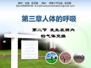 第二节发生在肺内的气体交换11
