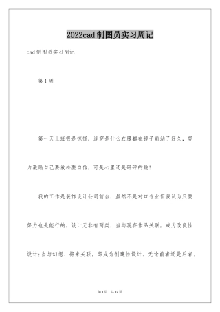 2024cad制图员实习周记_1