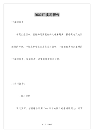 2024IT实习报告