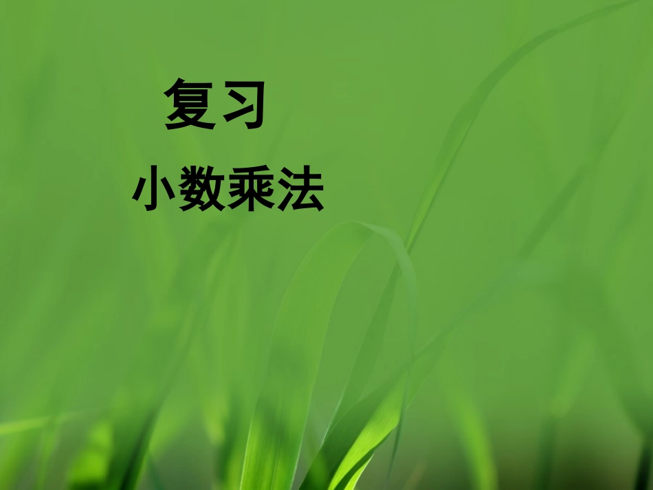 《复习（小数的乘法）》参考课件_第1页
