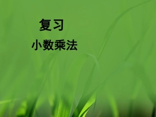 《复习（小数的乘法）》参考课件