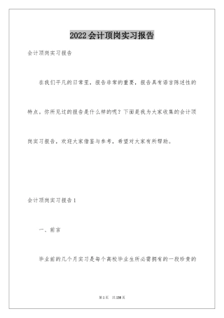 2024会计顶岗实习报告_19