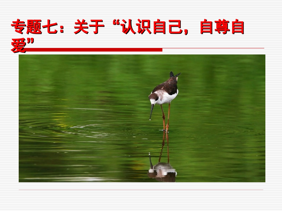 专题七：自尊自爱_第1页