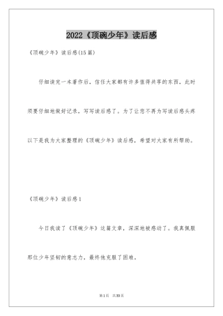 2024《顶碗少年》读后感