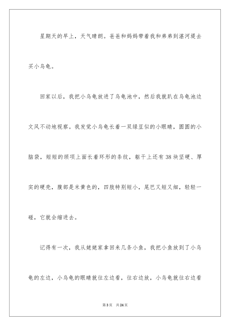 2024乌龟小学作文_5_第3页