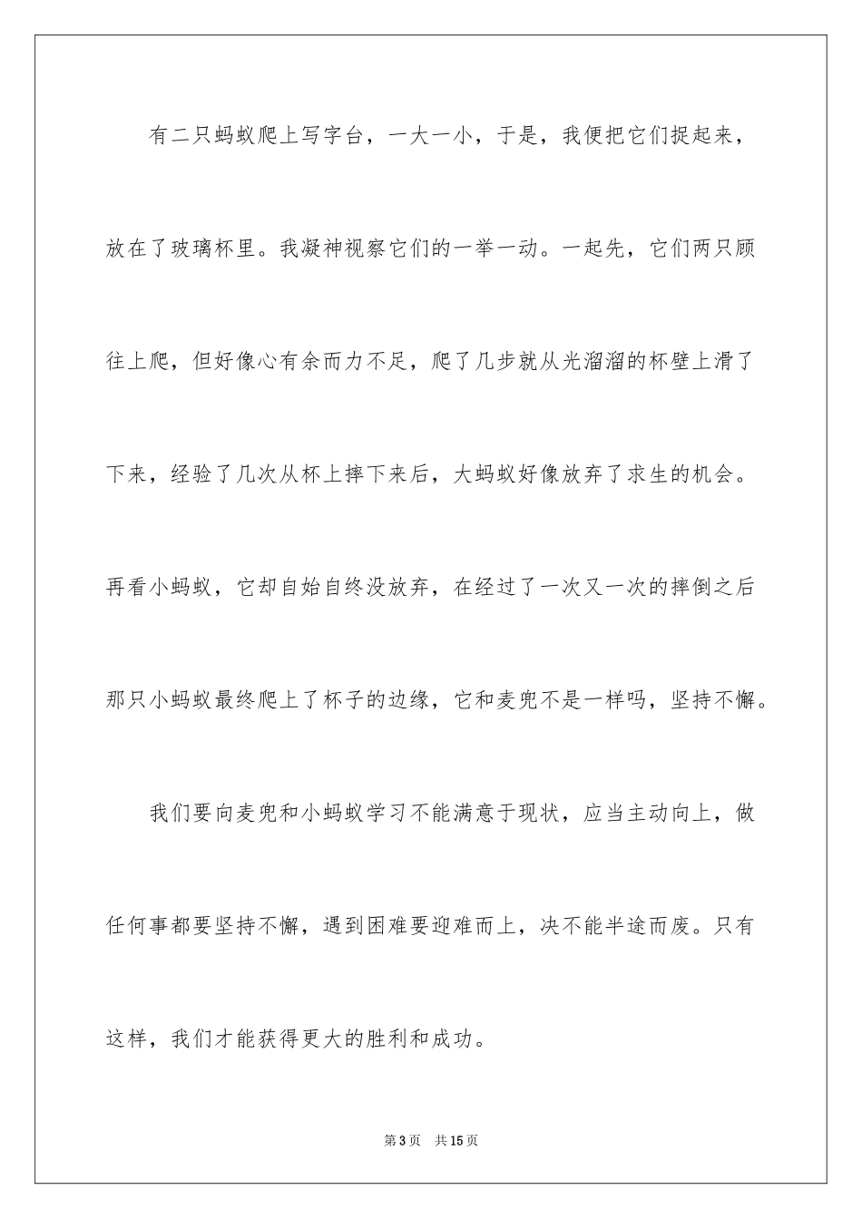 2024《麦兜响当当》观后感_1_第3页