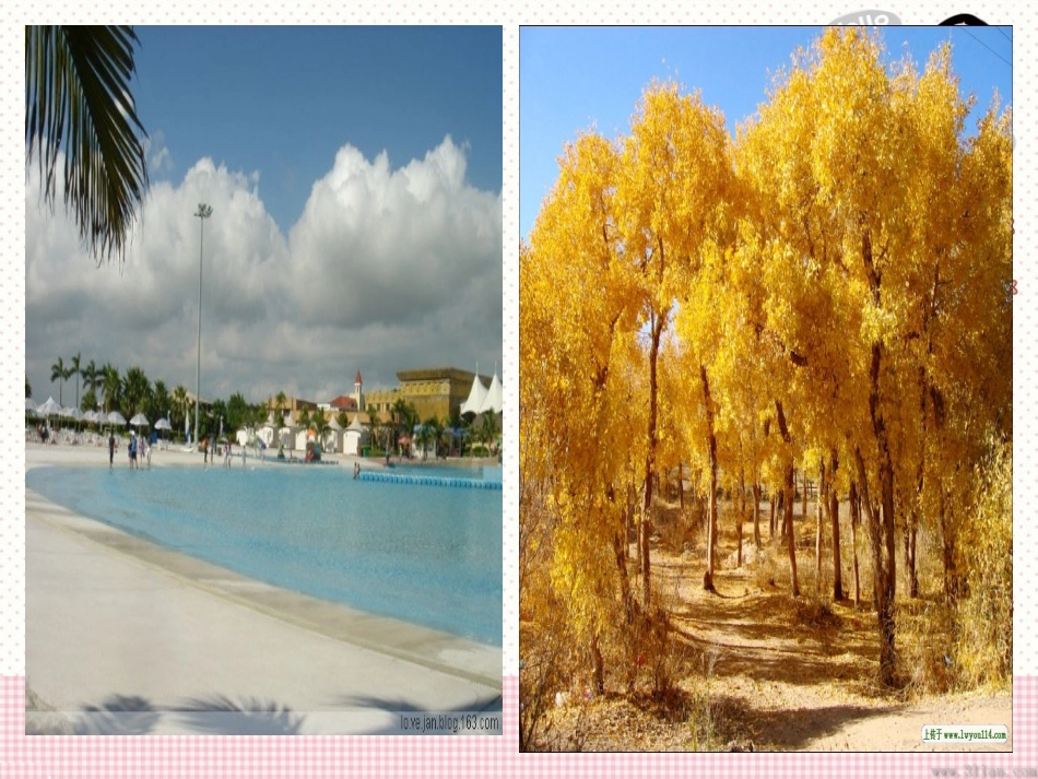 二年级上册识字一课件_第3页