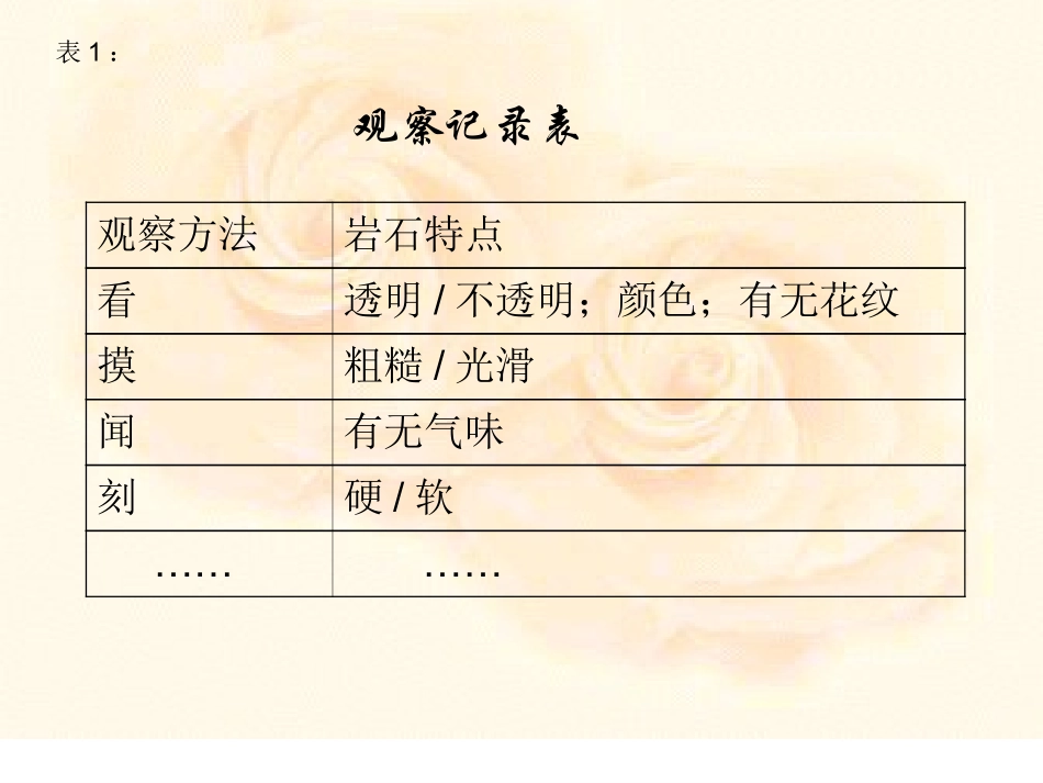 四年级科学-各种各样的岩石4_第3页