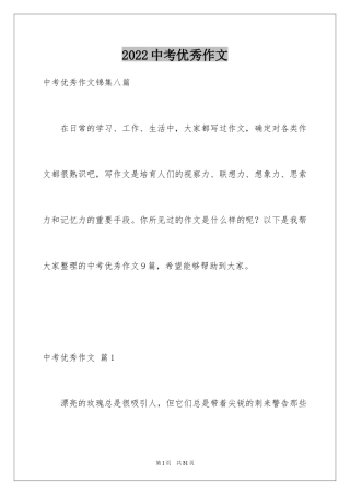 2024中考优秀作文_64