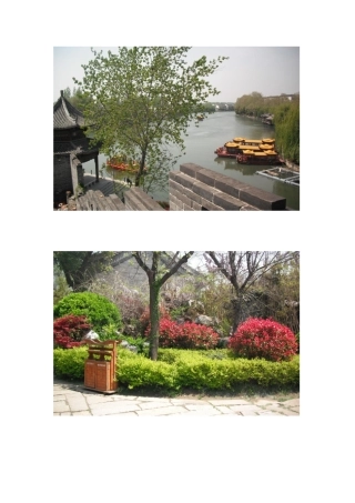 春天出游图片