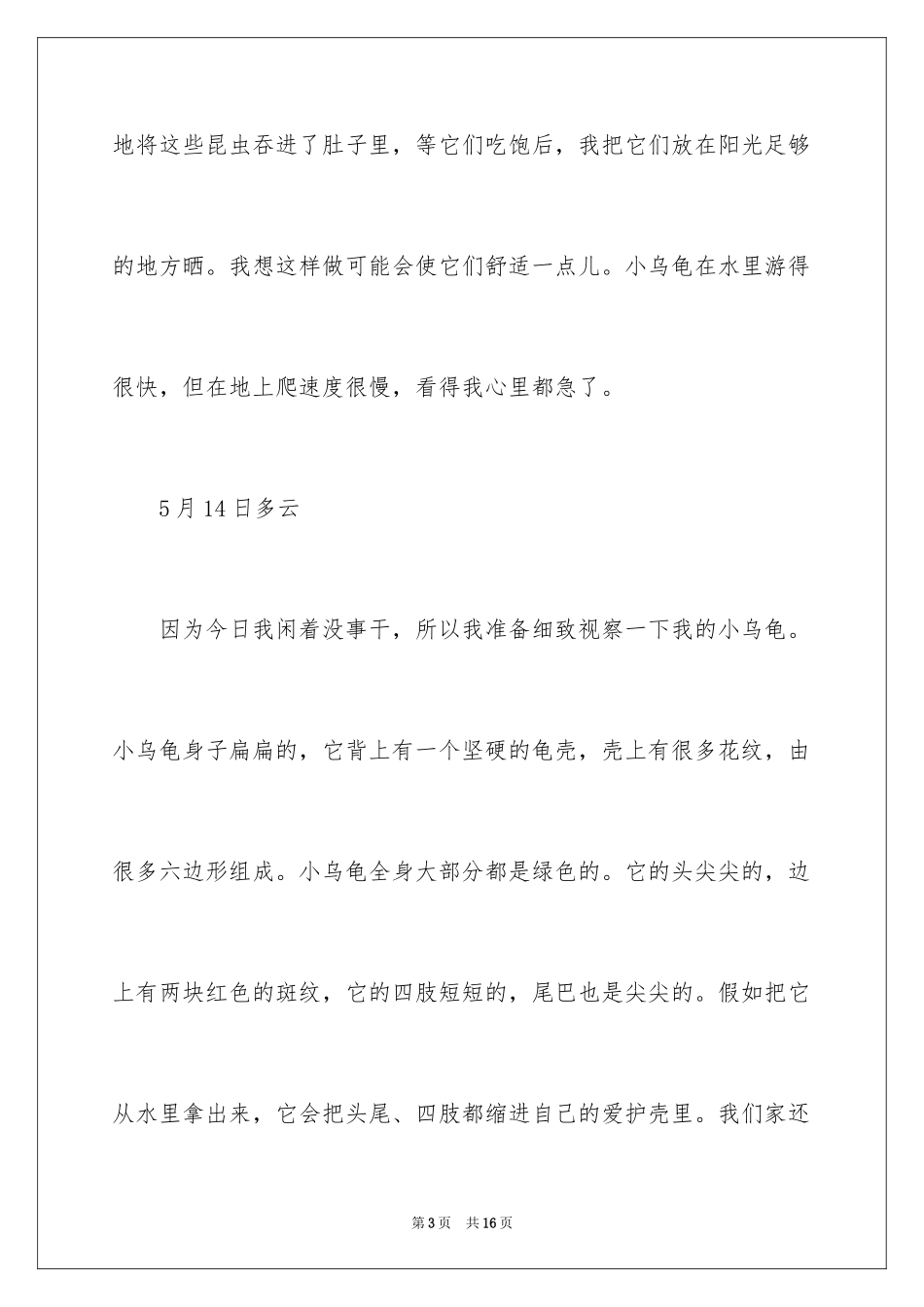 2024乌龟连续观察日记_第3页