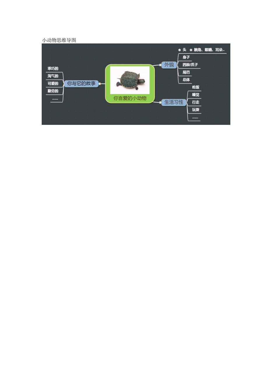 思维导图 (3)_第1页