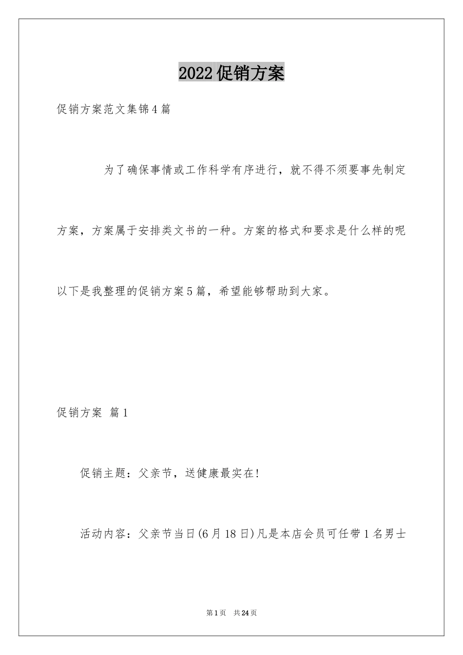 2024促销方案_12_第1页
