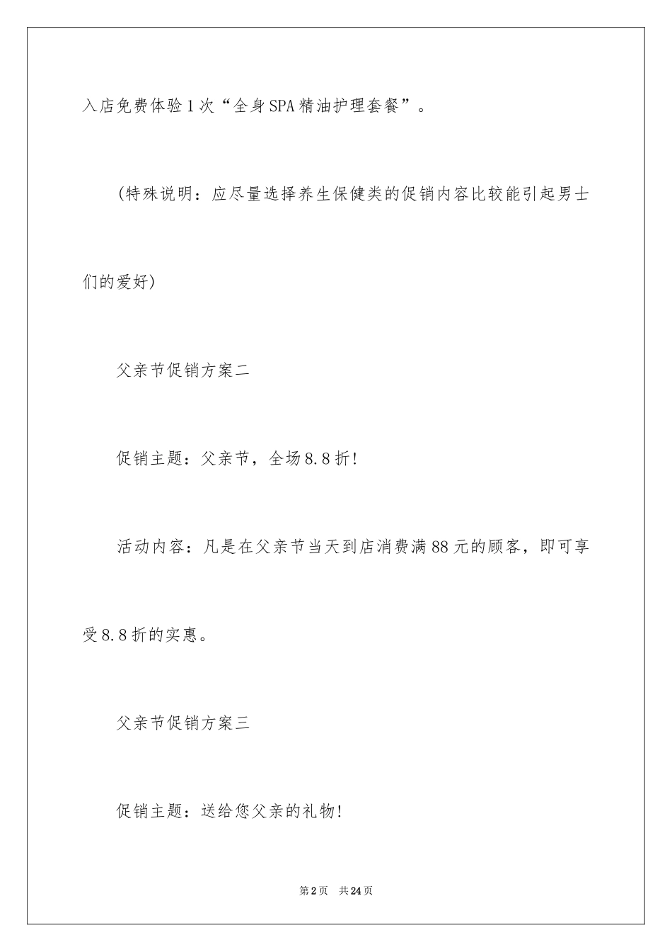 2024促销方案_12_第2页