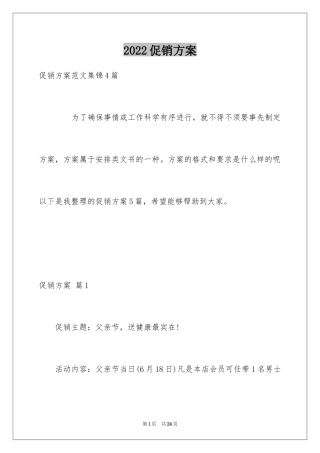 2024促销方案_12