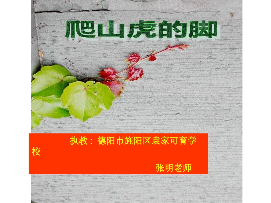 PPT爬山虎的脚_第1页