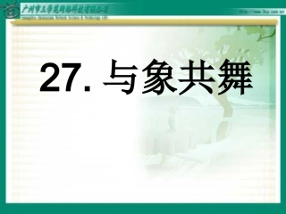 《与象共舞》课件