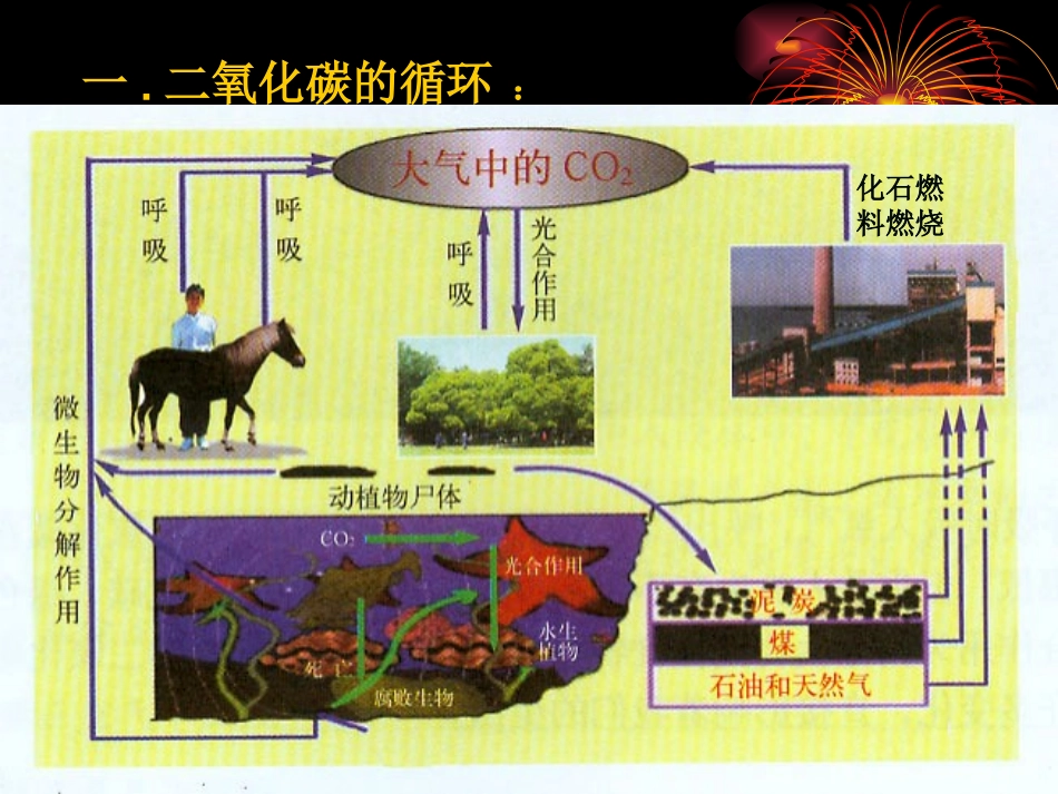 九年级化学第四单元第四节大自然中的二氧化碳课件_第2页