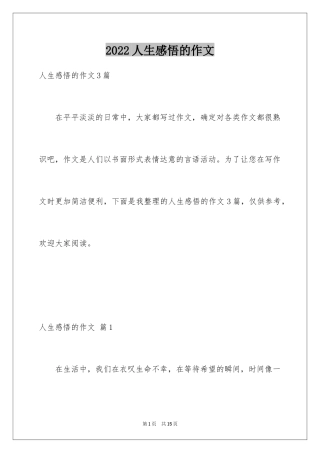 2024人生感悟的作文_4