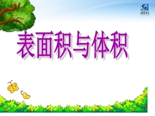 表面积和体积的比较课件