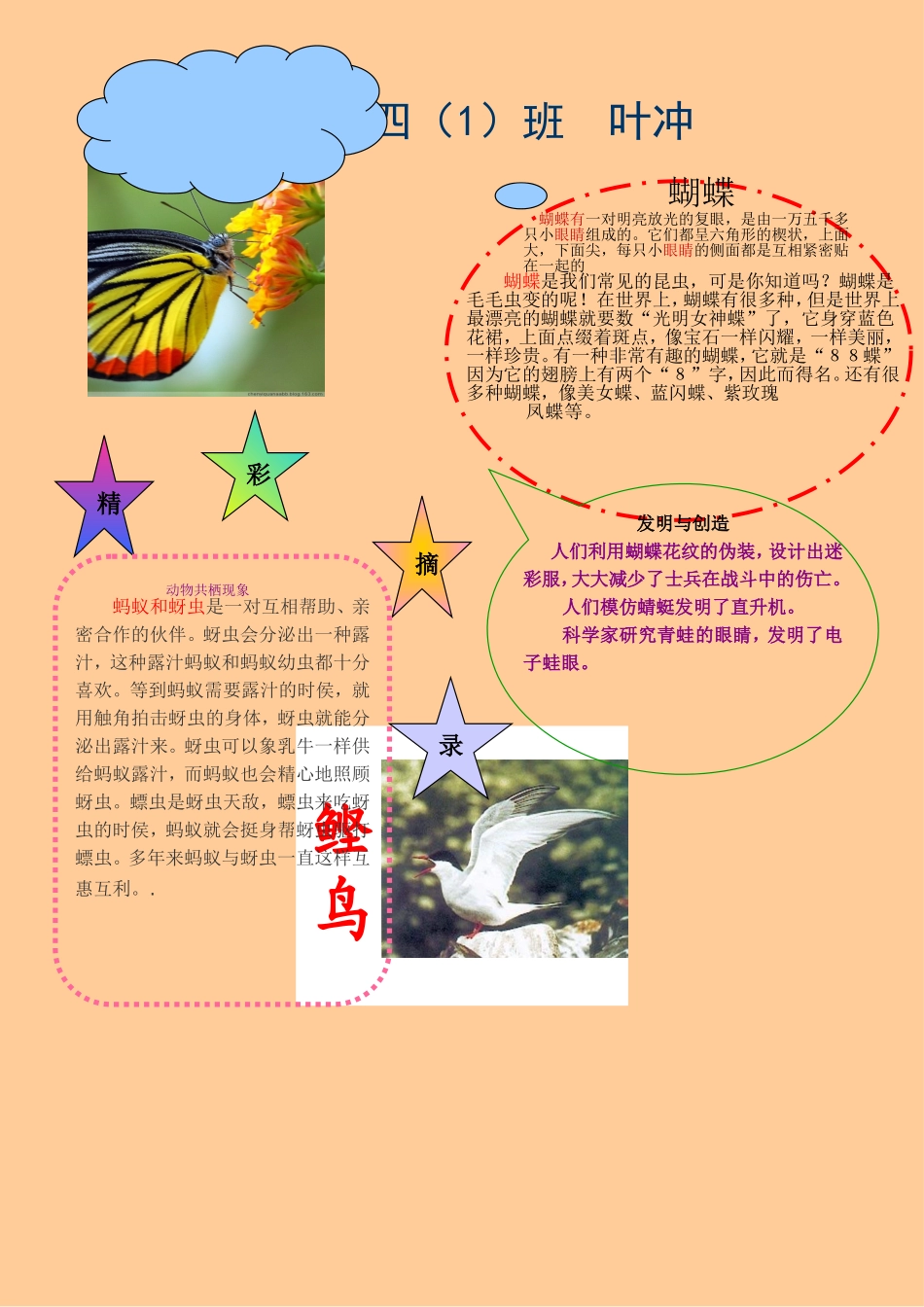 大自然的启示手抄报_第1页