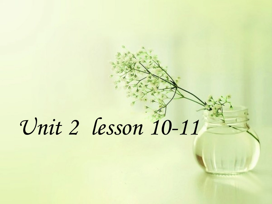 小学英语Book4Unit2lesson10-11_第1页