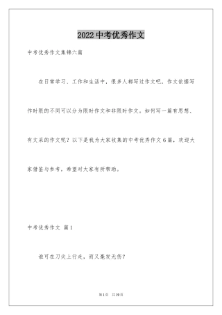 2024中考优秀作文_206