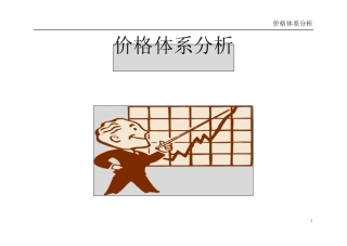 价格体系分析