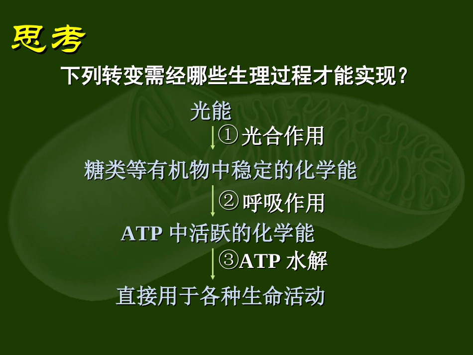 第八节生物的呼吸作用_第2页