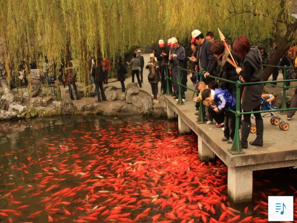 改27鱼游到了纸上-_第1页