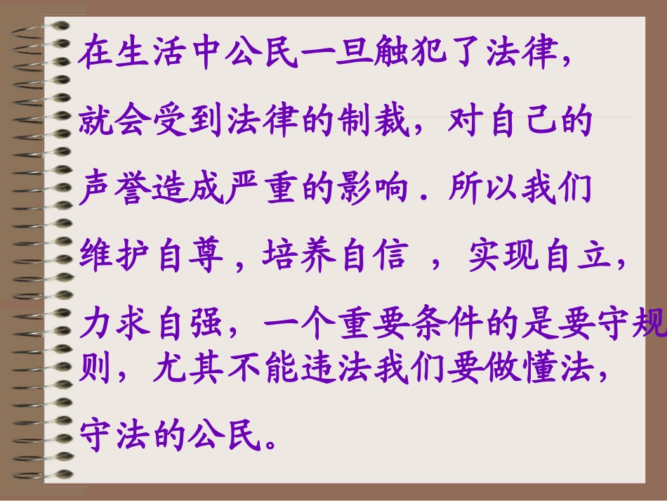《法不可违》_第3页