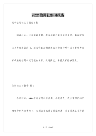 2024信用社实习报告