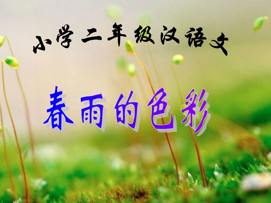 二年级下册春雨的色彩语文课件_第1页
