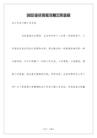 2024会计员实习期工作总结